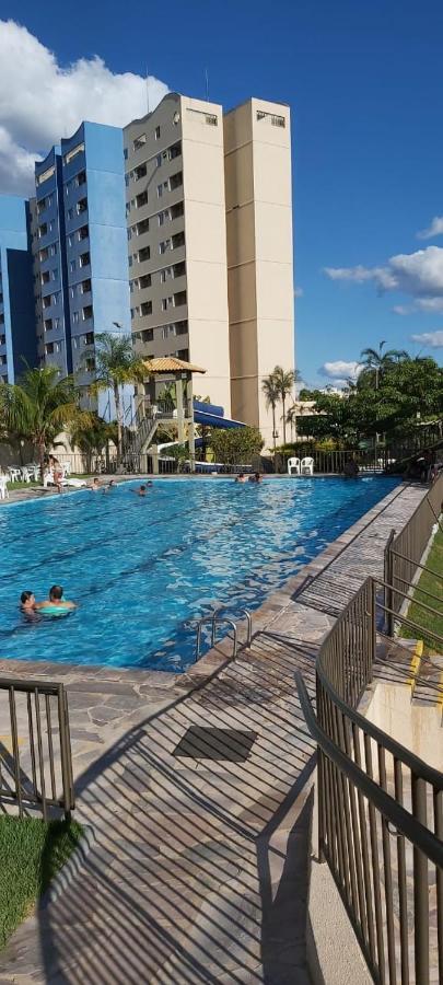 Golden Dolphin Maior Em Go
