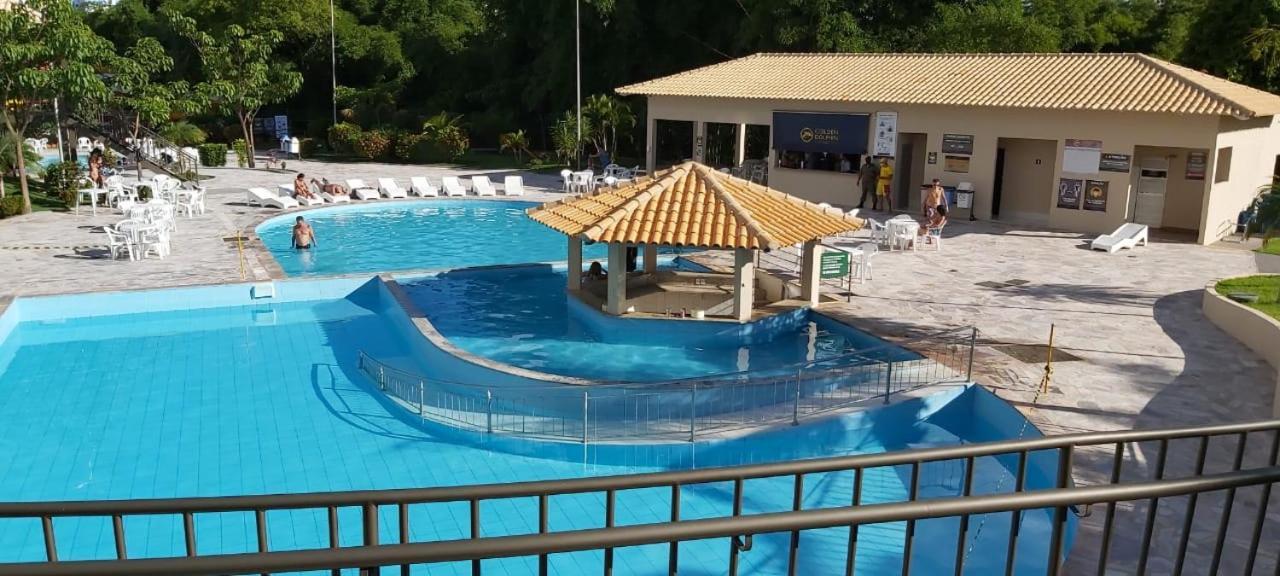 Golden Dolphin Maior Em Go *